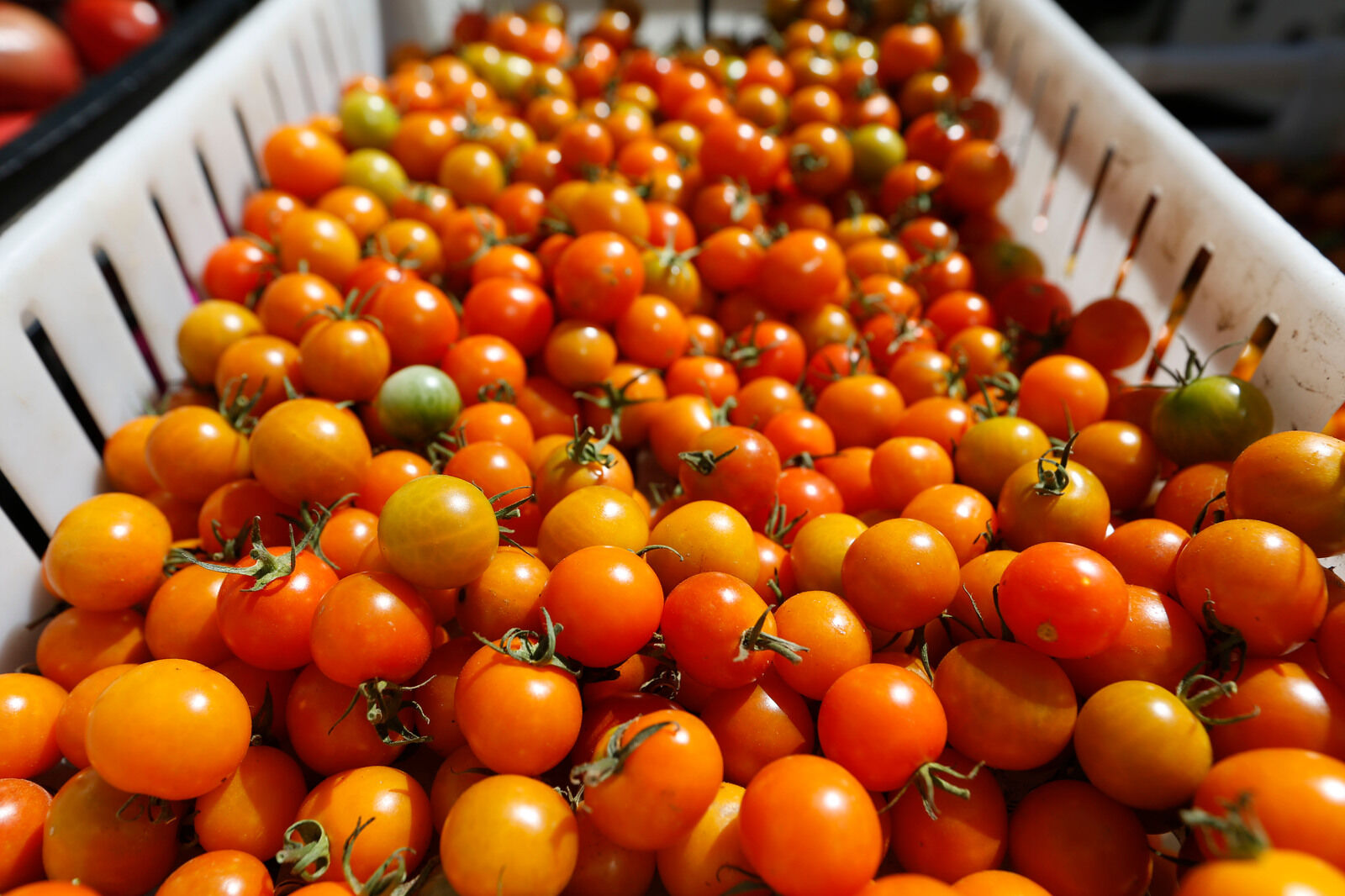 Cherry tomatoes